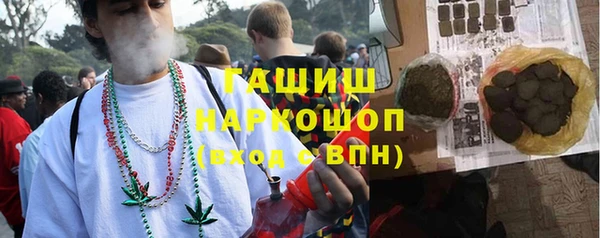 прущий лед Бородино